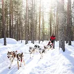 Lapland Sirkantaehti 4* Levi