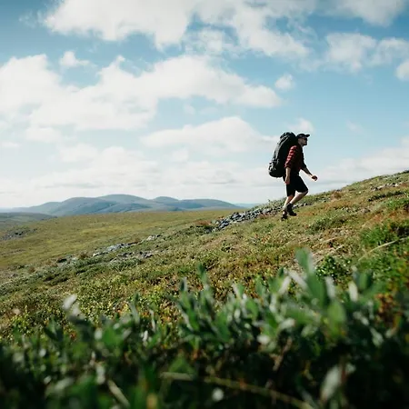 Lapland Sirkantaehti Levi