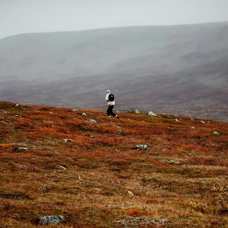 Lapland Sirkantaehti