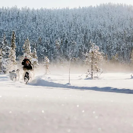 فندق Lapland Sirkantaehti ليفي