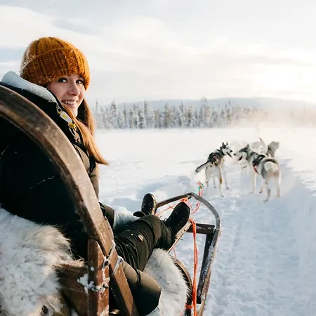 Lapland Sirkantaehti ليفي