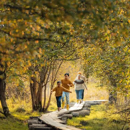 Lapland Sirkantaehti 3* ليفي