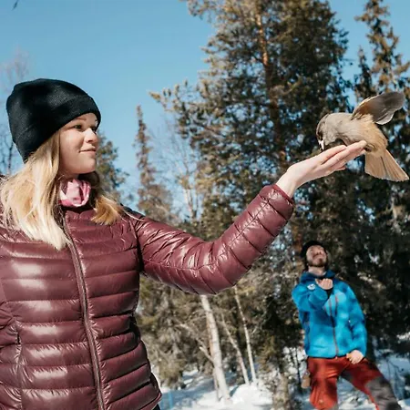 Lapland Sirkantaehti فندق 3*