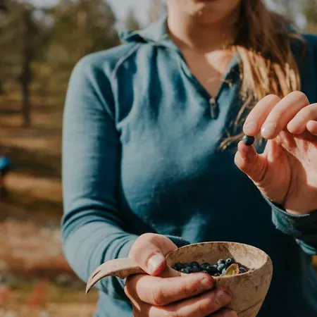 Lapland Sirkantaehti Hotel