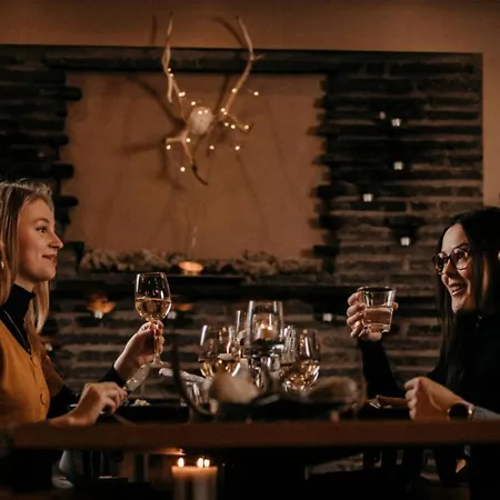 מלון Lapland Sirkantaehti