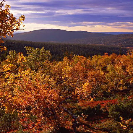 Lapland Sirkantaehti Hotel 4*