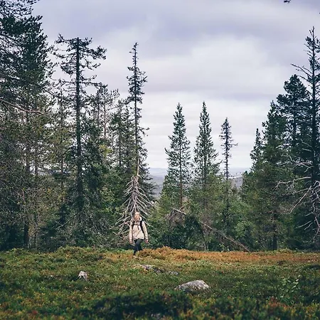 Lapland Sirkantaehti 3*