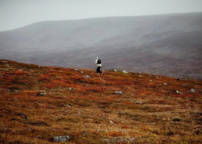 Lapland Sirkantähti