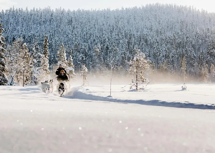 Hotell Lapland Sirkantähti Levi