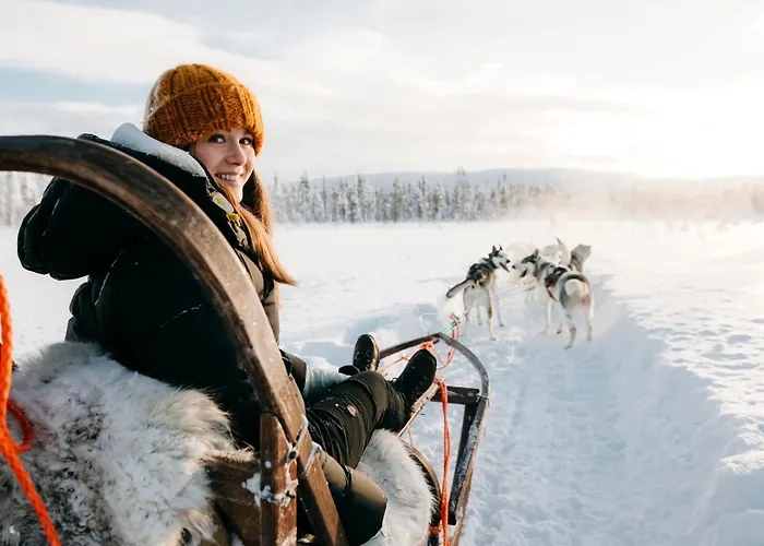 Lapland Sirkantaehti ليفي