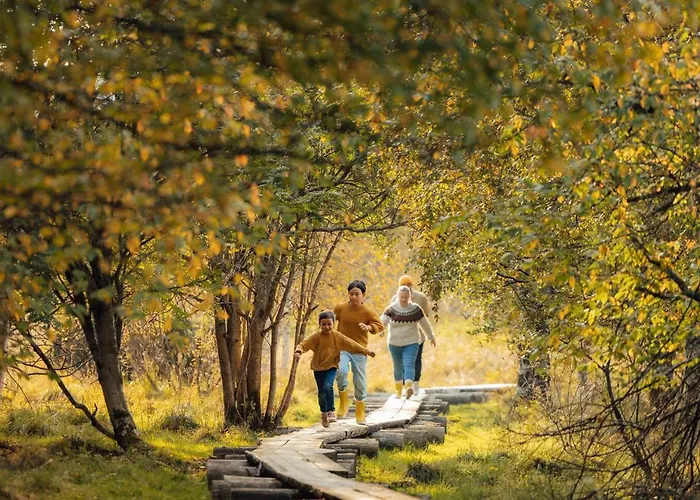 Lapland Sirkantähti 4* Levi