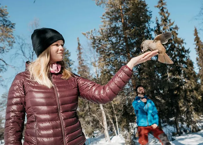 Lapland Sirkantähti Hotell 4*