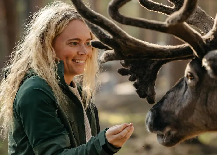 Lapland Sirkantähti Levi