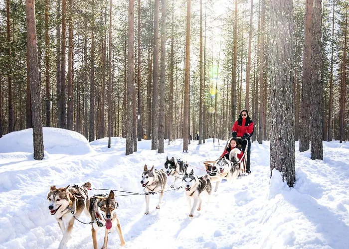 Lapland Sirkantaehti 4* ليفي