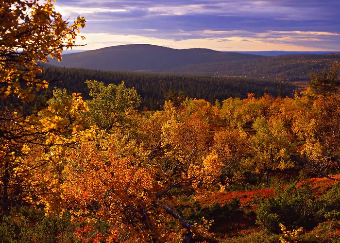 Lapland Sirkantaehti فندق 4*